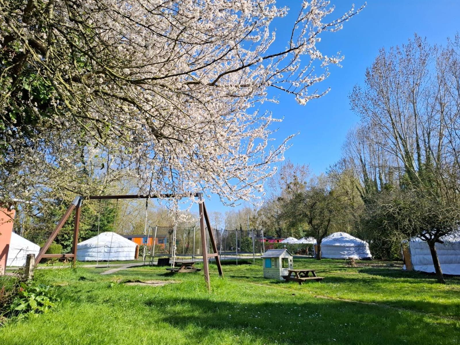 Le Village Insolite Yourte Et Roulotte Saint-Benoît-des-Ondes Exterior foto